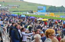 Lions among the crowds at Goodwood enjoy the racing.